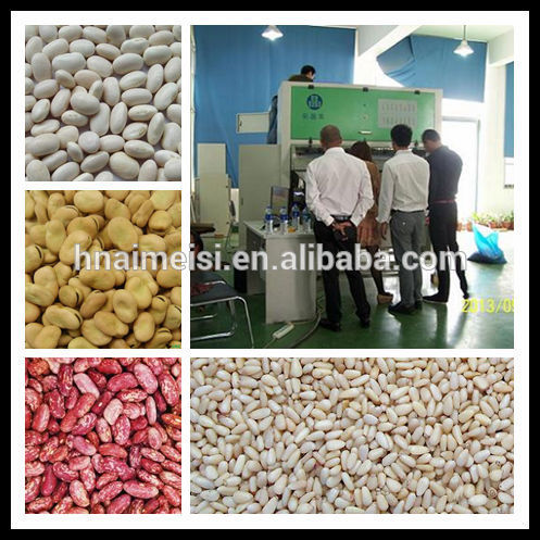 Belt Model Sorting Machine for Pine Nut with Nikon Lens 0086 371 65866393