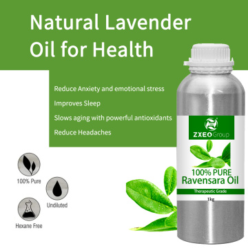 Top Grade Wholesale bulk Price 100 % High Quality Ravensara Essential Oil 100% Pure Therapeutic Grade