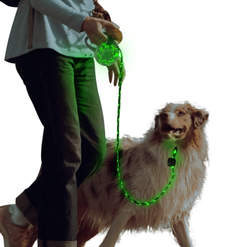 Customized LED USB Rechargeable Glowing Dog Leash
