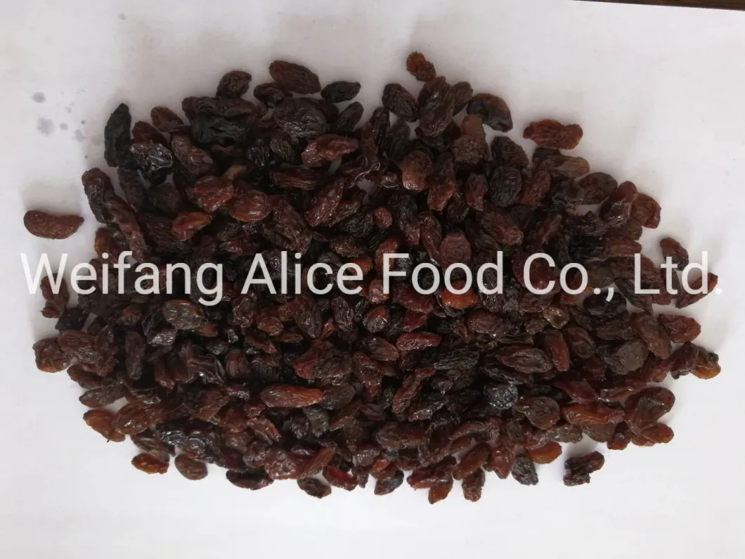 Bulk Packing Healthy Snack Dried Black Raisin