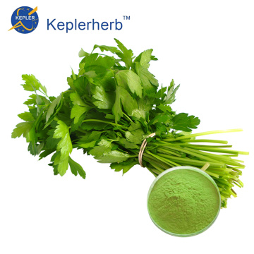 Coriander Extract Powder wholesale