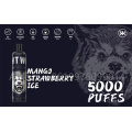 Energie 5000 Puffs Mesh Spulen -Einweg -Vape Vape Stift