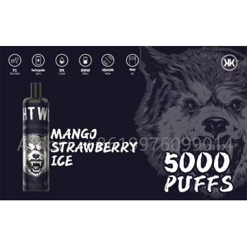 Energia 5000 Puffs Mesh Bobina de vape descartável caneta