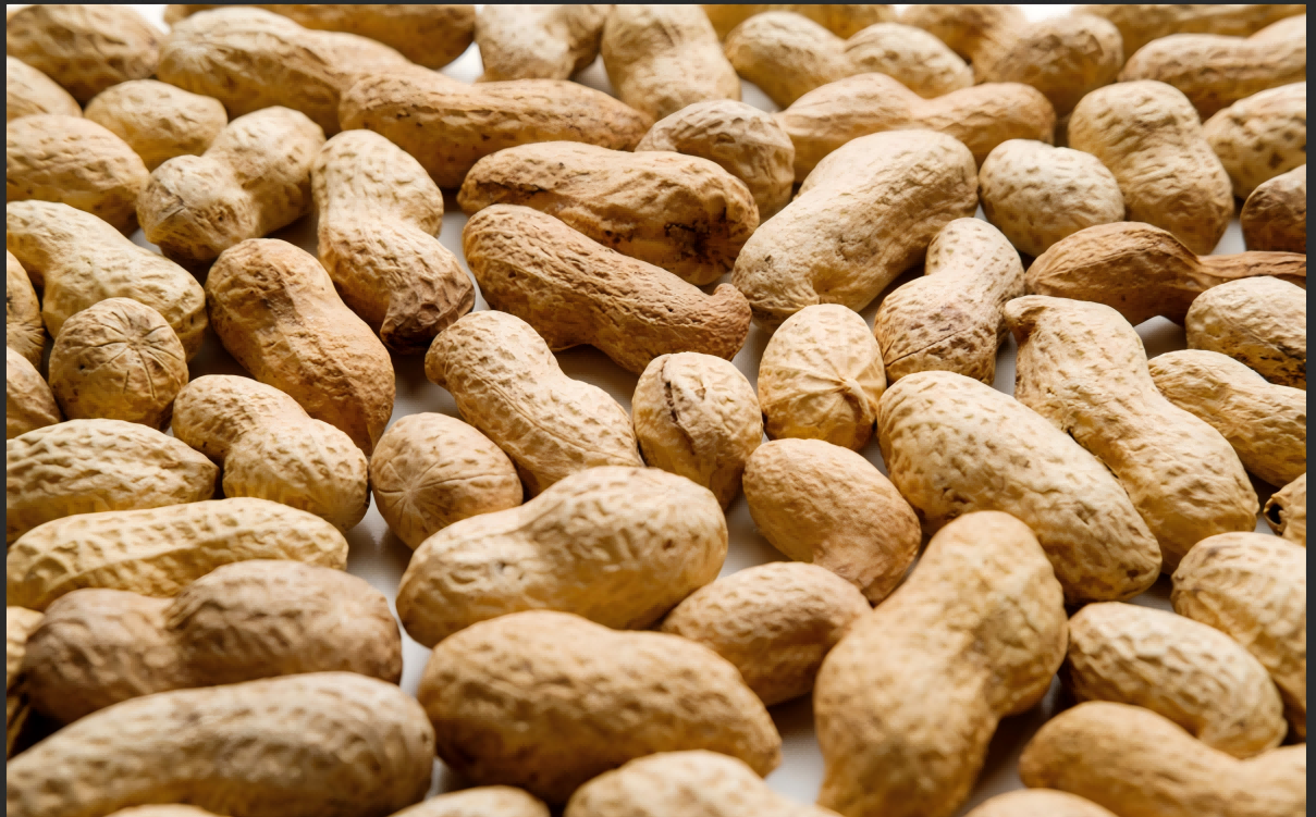 peanut(1) peanut(1)