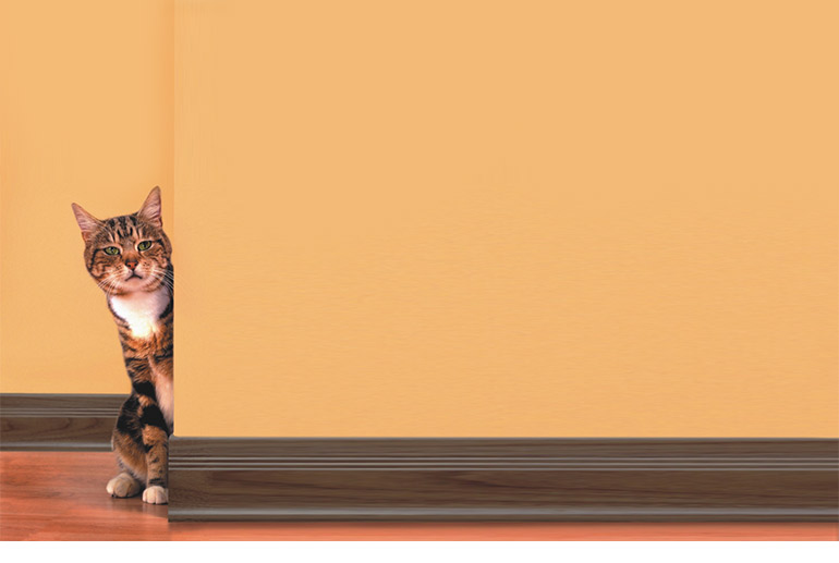 RAITTO Wholesale PVC Cheap Plastic Baseboard