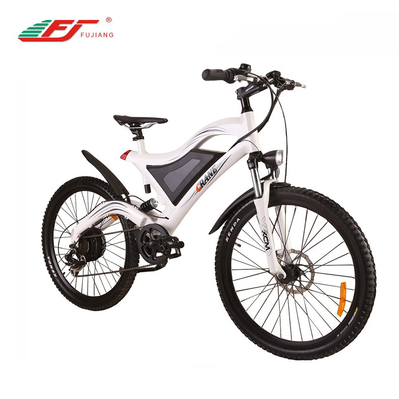 E Bike 5