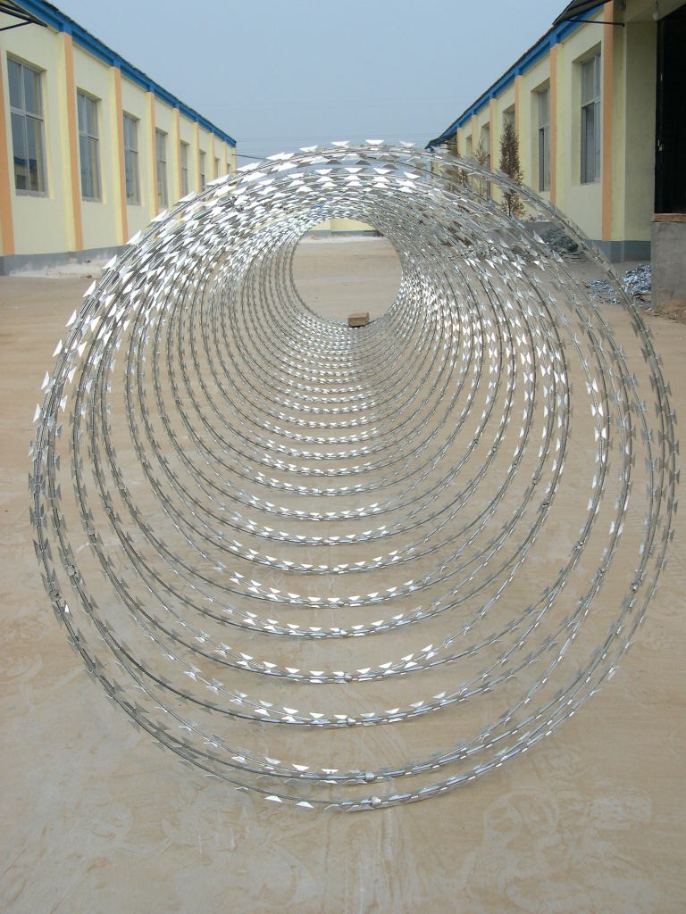 Galvanized Concertina Razor Barbed Wire