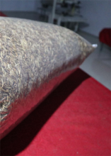 High Protein Dairy Feed