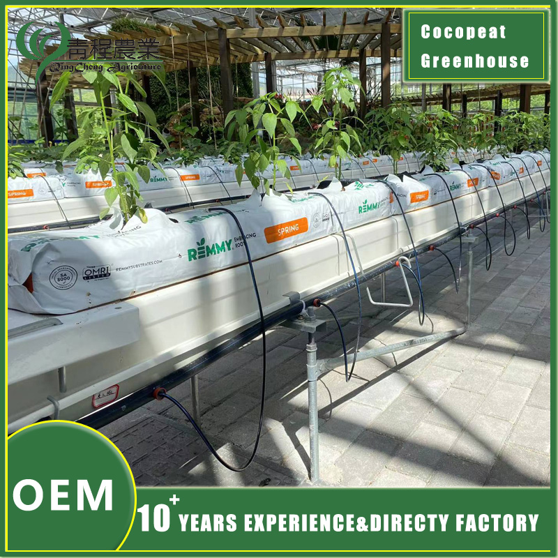 invernadero hidropónico con fibra de coco hydroponic greenhouse with coconut coir