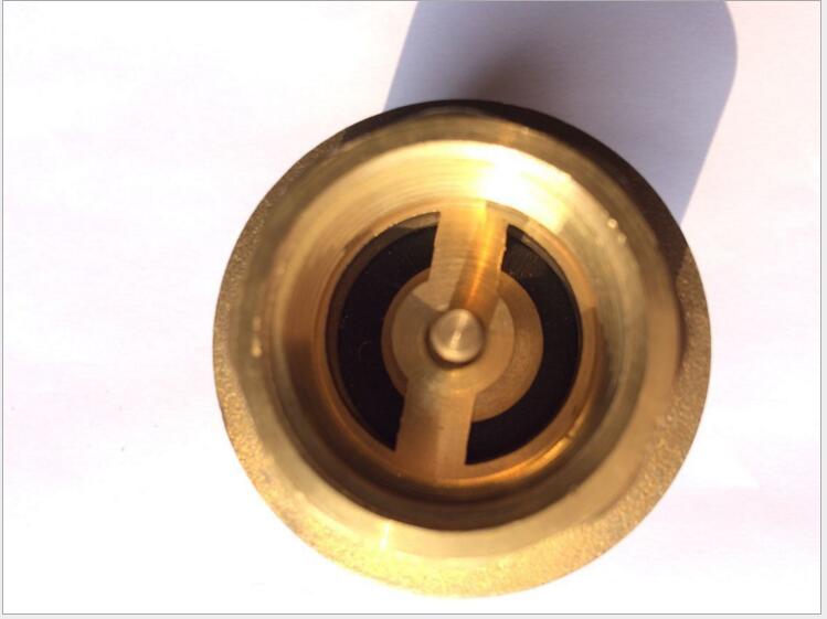 Brass Vertical Spring Check Valve, vertical bronze check valve