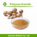 Agaricus Blazei Murill Mushroom Extract Polysaccharides 10%