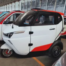 EEC Certificate Mini Electric Tricycle with Lithium Batter