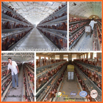 Layer Egg Chicken Cage/Poultry Farm House Design/Chicken Farm Cage