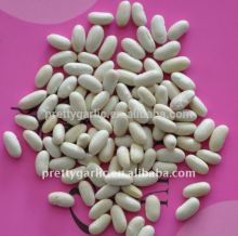 new crop light speckled kidney bean north-east origin