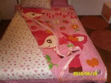 Pure Silk Blanket With 100% Cotton , Double Printed Raschel