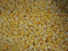 IQF Frozen Sweet Corn
