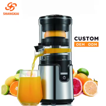 Multifunctional portable electric juicer