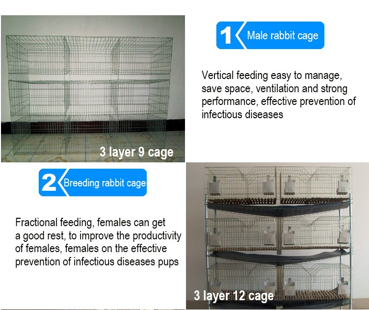 industrial breeding rabbit cage (factory)3 or 4 layer