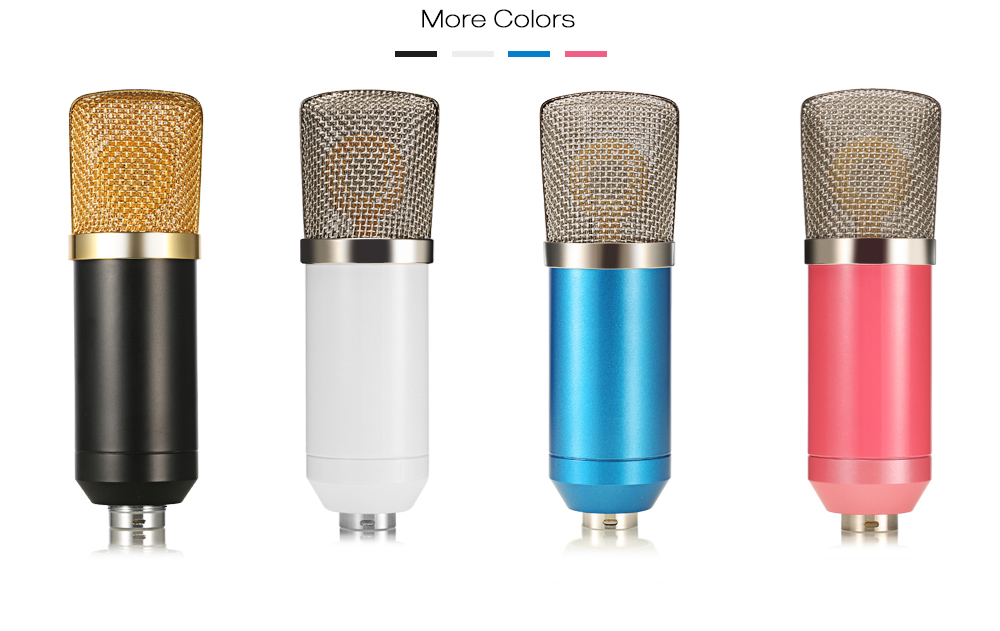 Professional Direct Custom Logo Recording Studio Ribbon Microphone