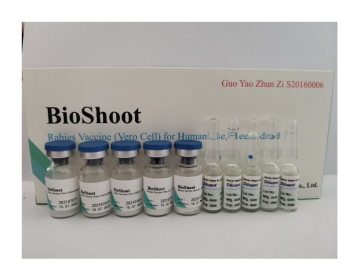 Ingury Treatment After Animal Bites