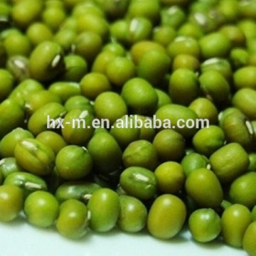 mung bean cake