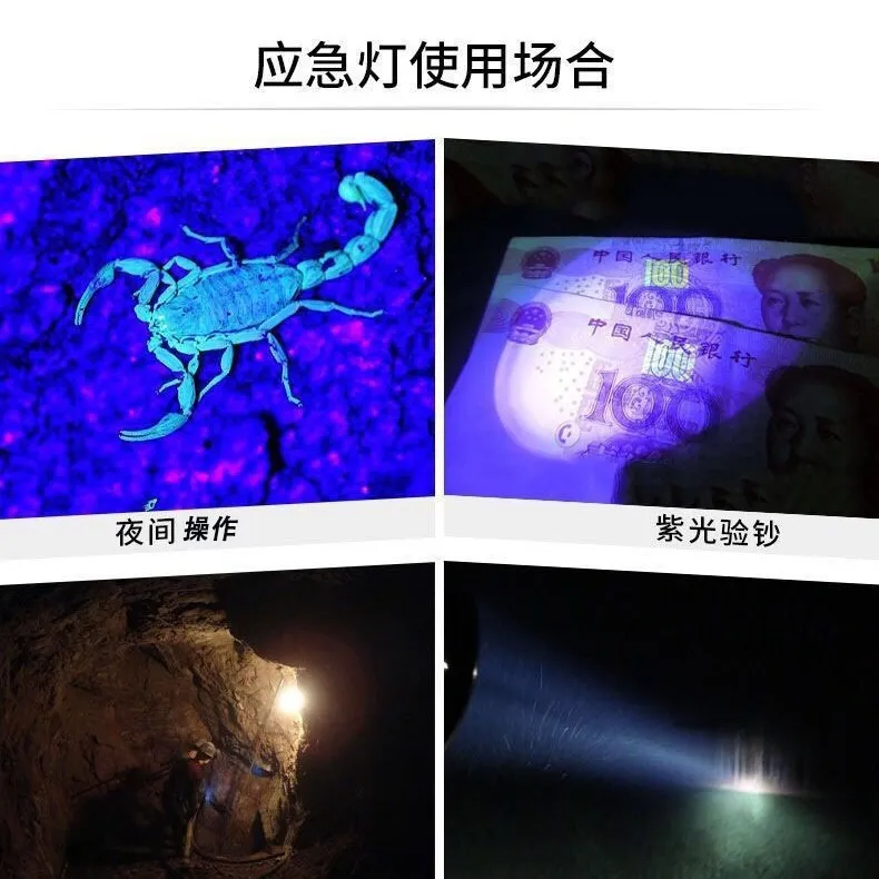 Rechargeable UV Headlamp with 395nm LED for Night Fishing and Scorpion Hunting