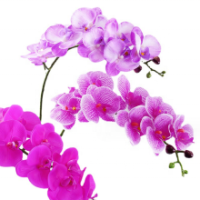 Real Touch Latex Orchids - Decorative Artificial Flowers for Sale
