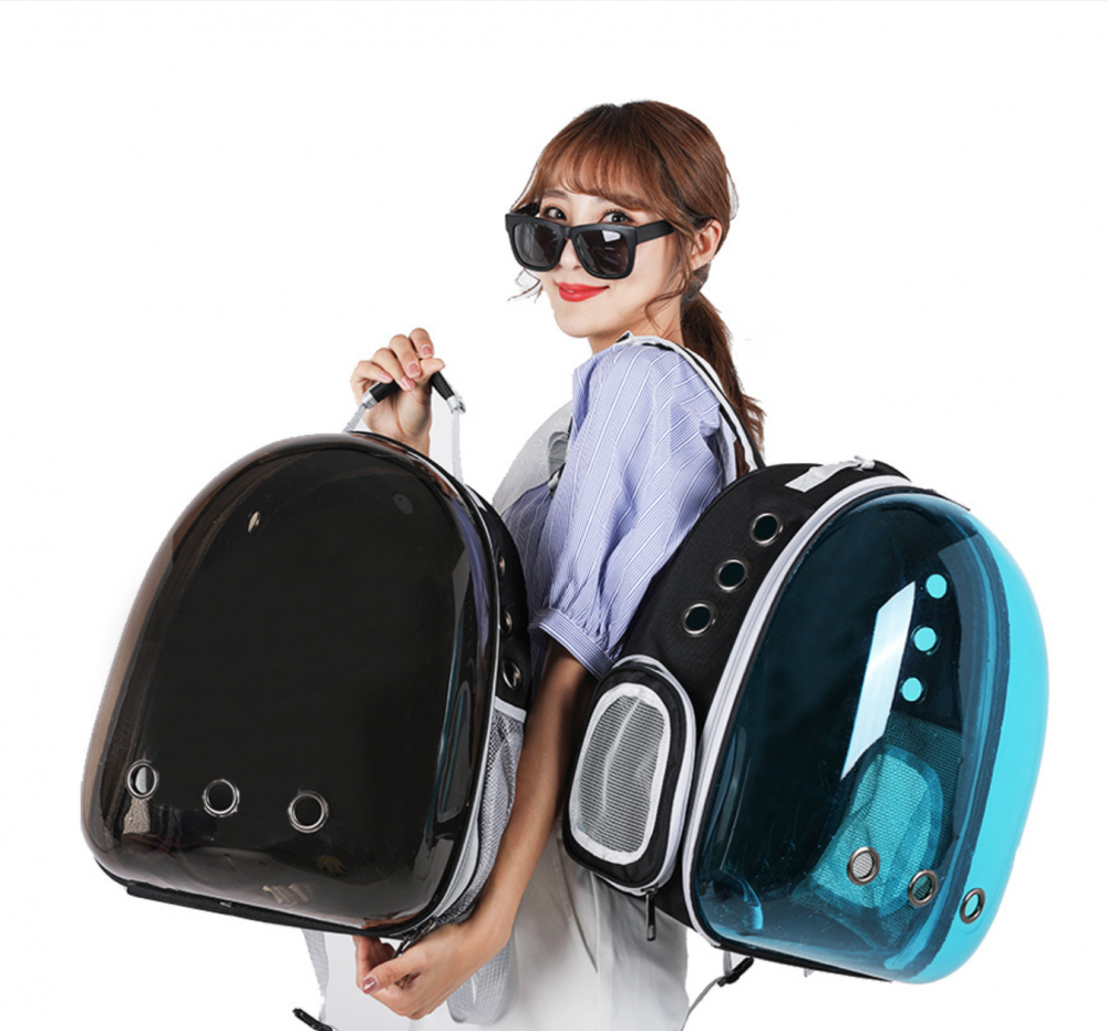 Pet carrier backpack airline approved