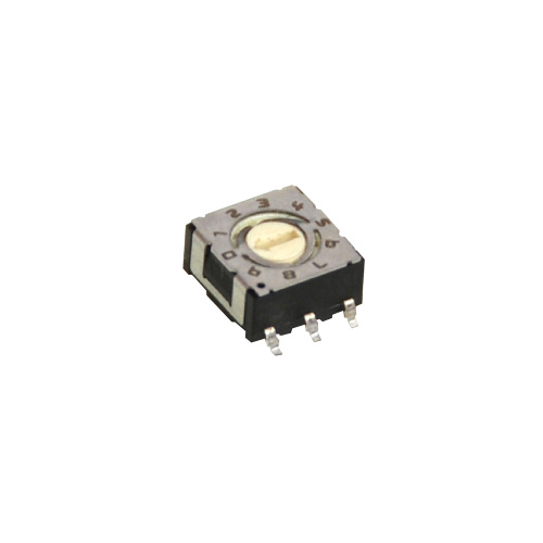 10 Position Real Code Rotary Switches