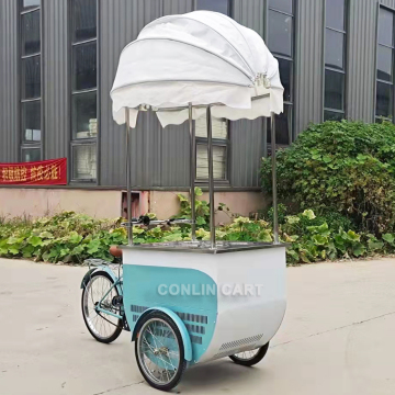 Hot Selling Electric Ice Cream Bike - 3 Wheel Gastro Bike for Sale