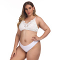 Sutiã de renda feminino plus size sexy