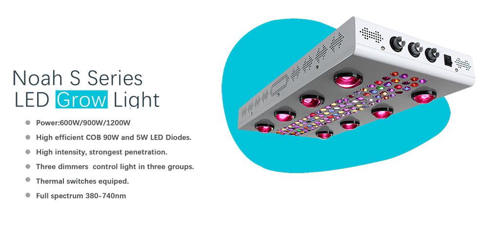highpower noah s led grow light highpower noah s led grow light