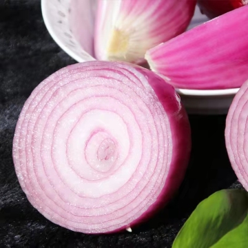 Fresh Vegtable Red Onion with Cheap Price