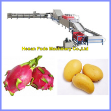 dragon Fruit Cleaning, Waxing, Drying and Grading Production Line