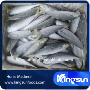 horse mackerel price