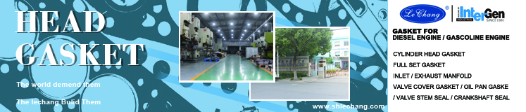 OEM 3800558  Fit for Cms Engine Gasket  for Cms 6CT  Bottom Gasket Set Gasket lower set