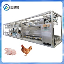 Electric Shock Line for 500 BPH Chicken Slaughter with Steel Plucker