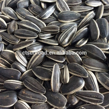 export sunflower seeds hybrid sunflower seeds