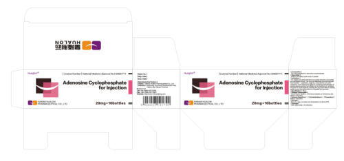 Adenosine Cyclophophate for Injection