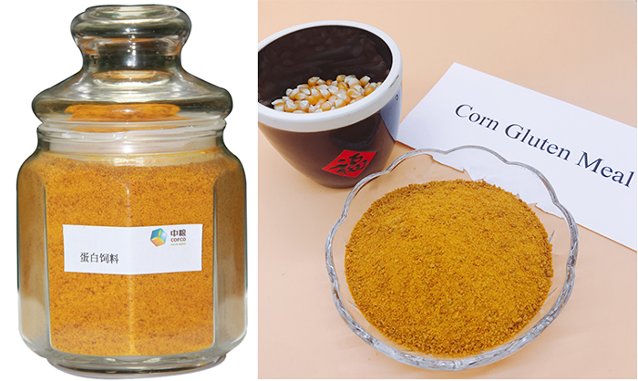Manufacturer Supply High Quality Bulk Corn Gluten Meal