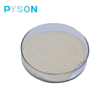 Probiotisches Pulver Lactobacillus salivarius Pulver