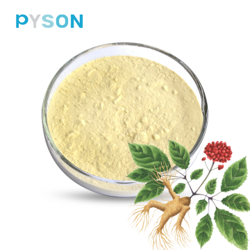 Ginseng Leaf & Stem extract 80% UV