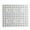 3000W COB LED para plantas de interior com iluminação