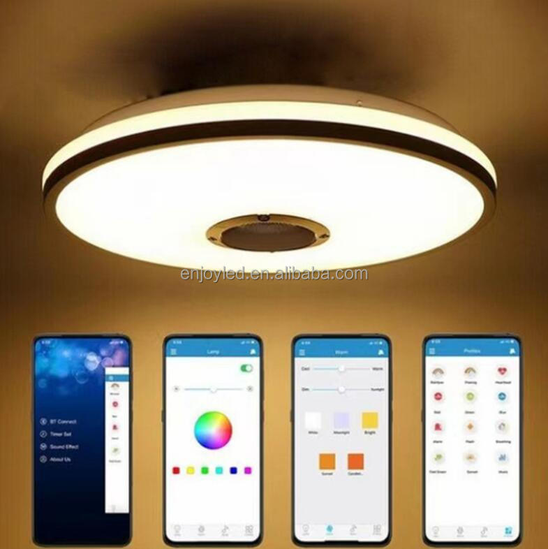 30 / 33cm intelligent BT music lamp app modern simple children's room study bedroom balcony led ceiling lamp