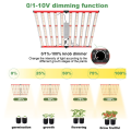 フルスペクトル1000W LEDライト高速輸送を成長させます