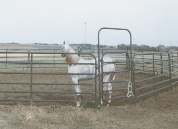 Galvanized Horse stable Yard Panels