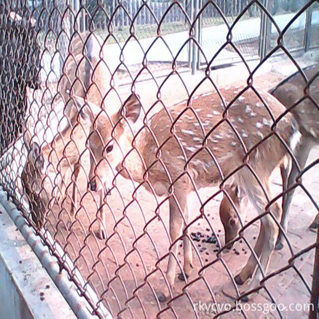 chain link wire mesh01