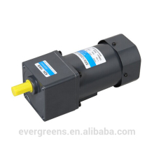 120W AC small electric motors with gearbox