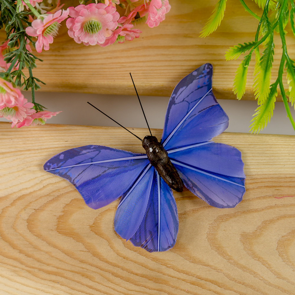 Butterfly 3d craft