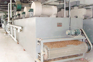 Mesh belt drying/dryer machine